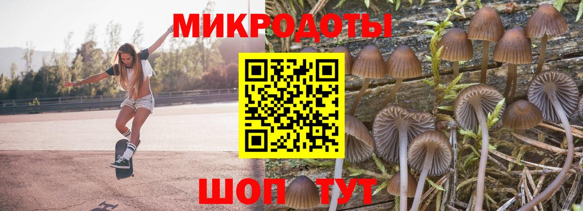 Псилоцибиновые грибы Psilocybe  Вход с VPN  Киселёвск  Галлюциногенные грибы MAGIC MUSHROOMS 
